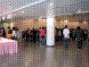 flower show2004 164.jpg